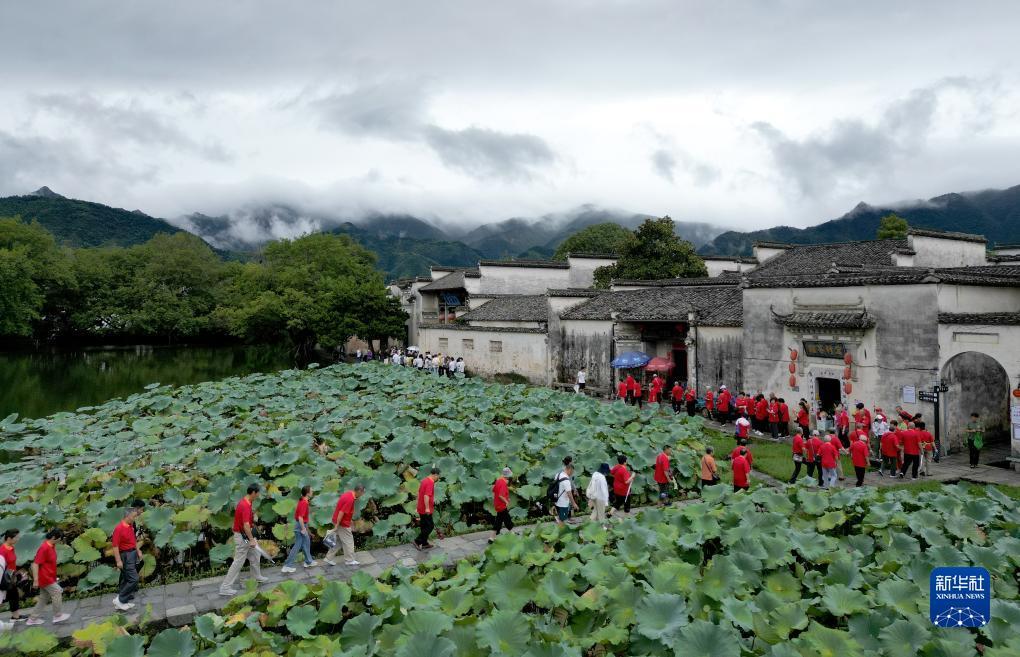 2025开户免费送白菜